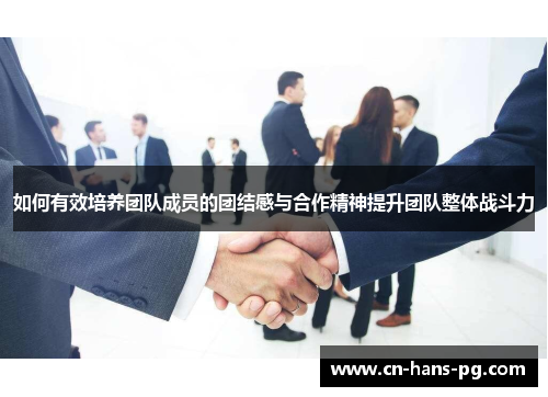 如何有效培养团队成员的团结感与合作精神提升团队整体战斗力